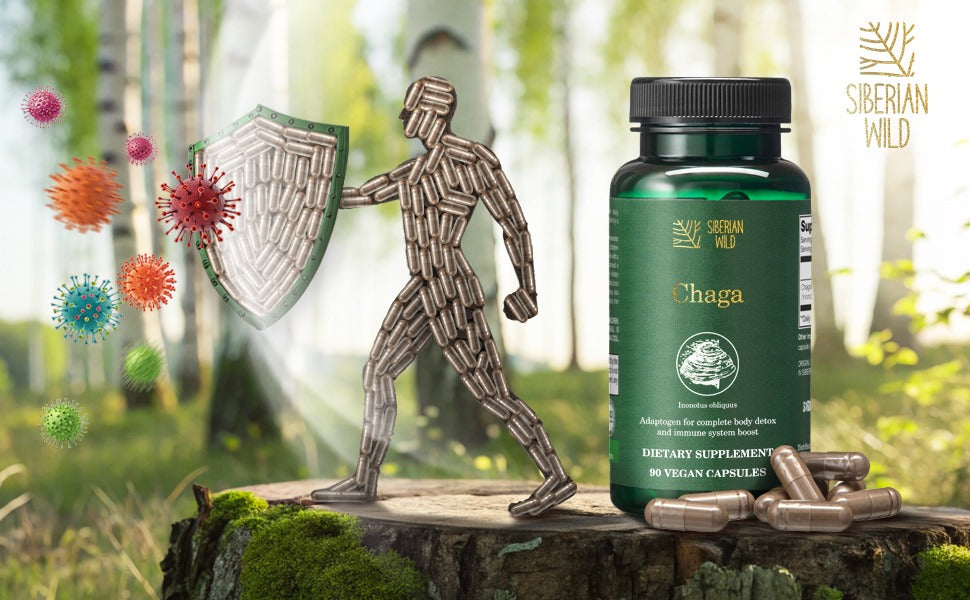 chaga supplement immune support