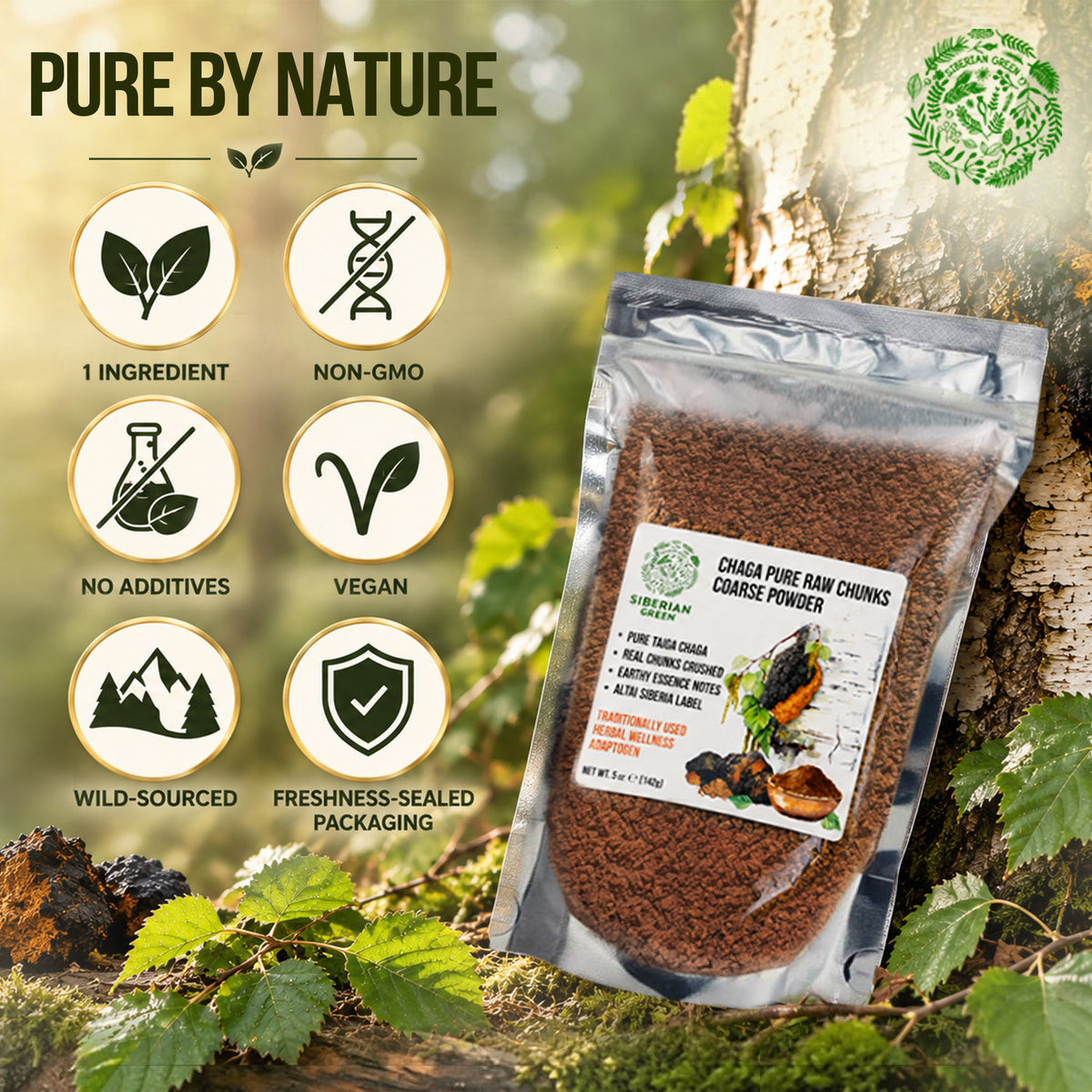 Siberian Green Chaga Pure Raw Chunks Coarse Powder 5 oz (142g) Wildcrafted Mushroom Tea and Adaptogenic Superfood (Inonotus obliquus)
