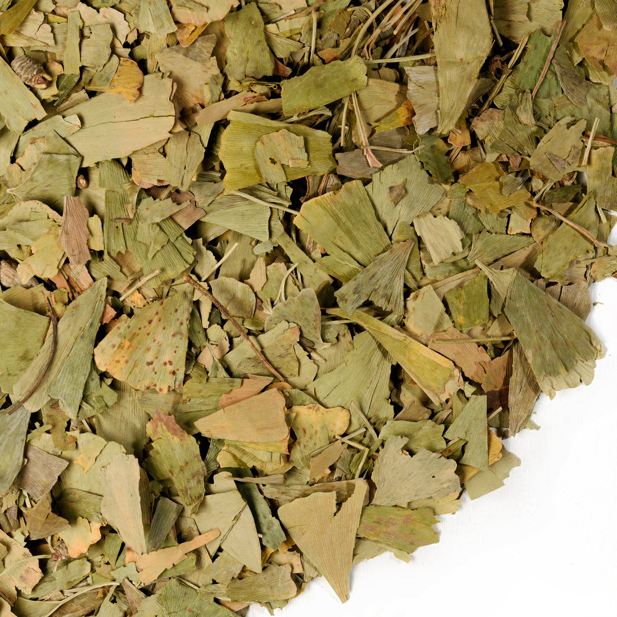 Siberian Ginkgo Biloba with Sea Buckthorn Leaves – 200g Loose Herbal Tea