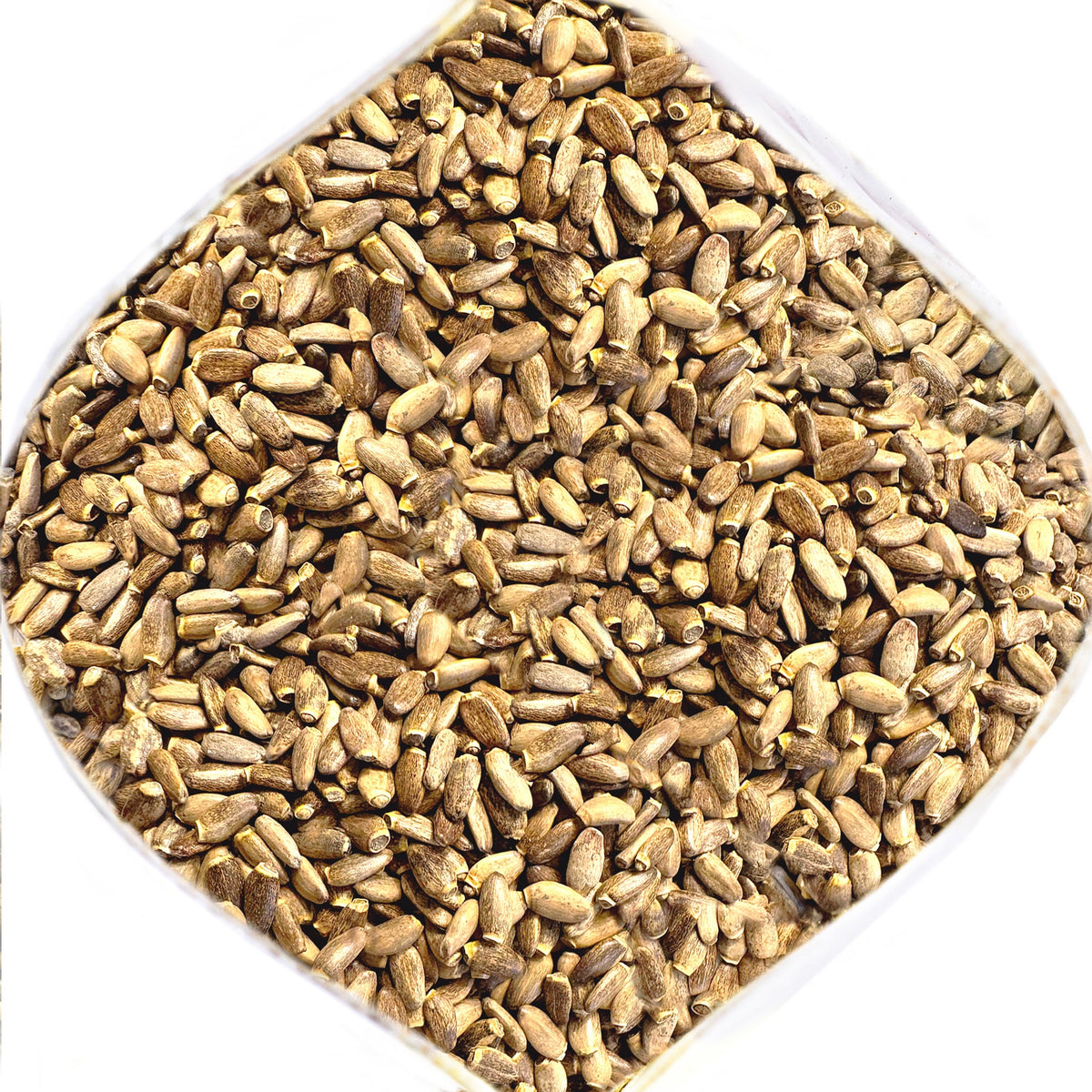 Siberian Green Milk Thistle Seeds Tea Australia Single Ingredient Herbal Tea Caffeine Free  Liver Support Silybum marianum Whole Seeds 340 g