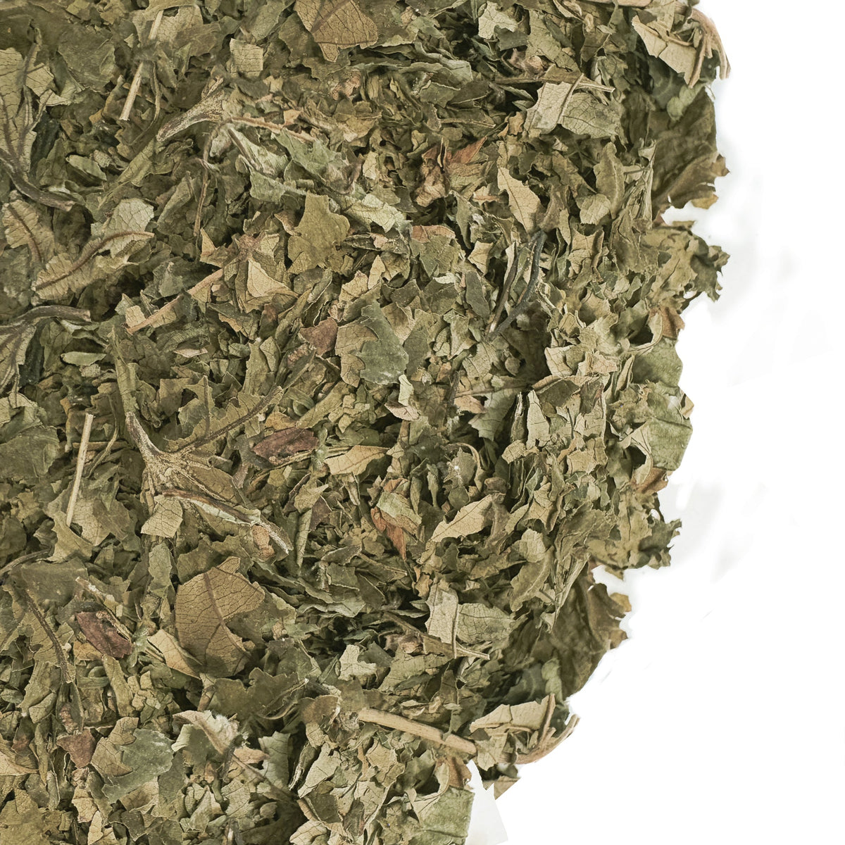 Siberian Green Red Raspberry Leaf Tea Australia Mild Sweet Herbal Tea - Womens Balance Rubus idaeus Loose Leaf 113 g
