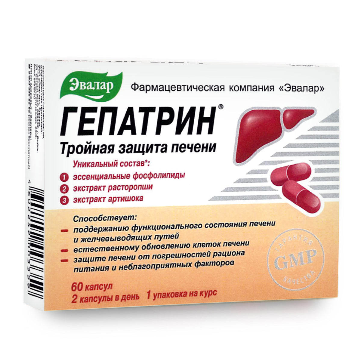 Artichoke & Milk Thistle by Evalar – 60 Tablets