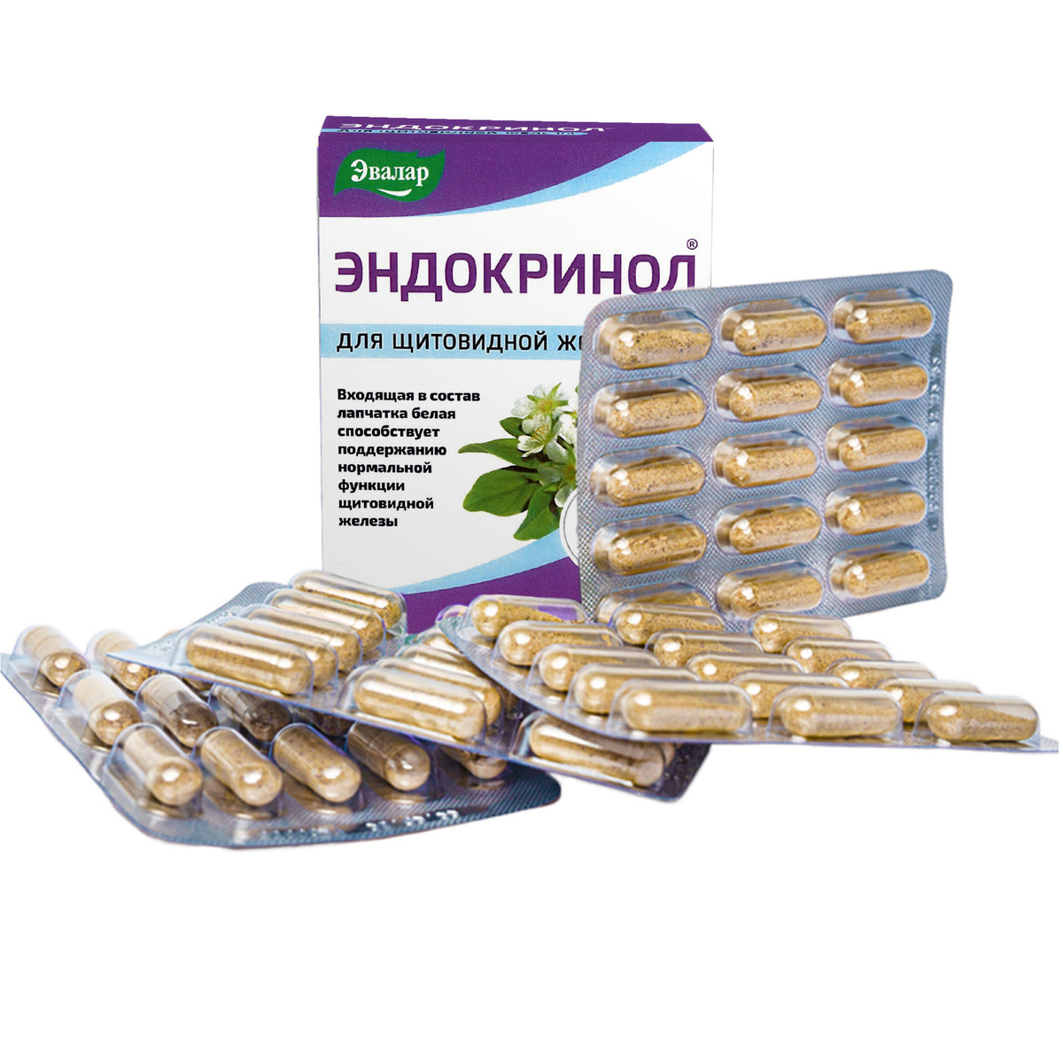 White Cinquefoil Potentilla Herb by Evalar 60 Caps