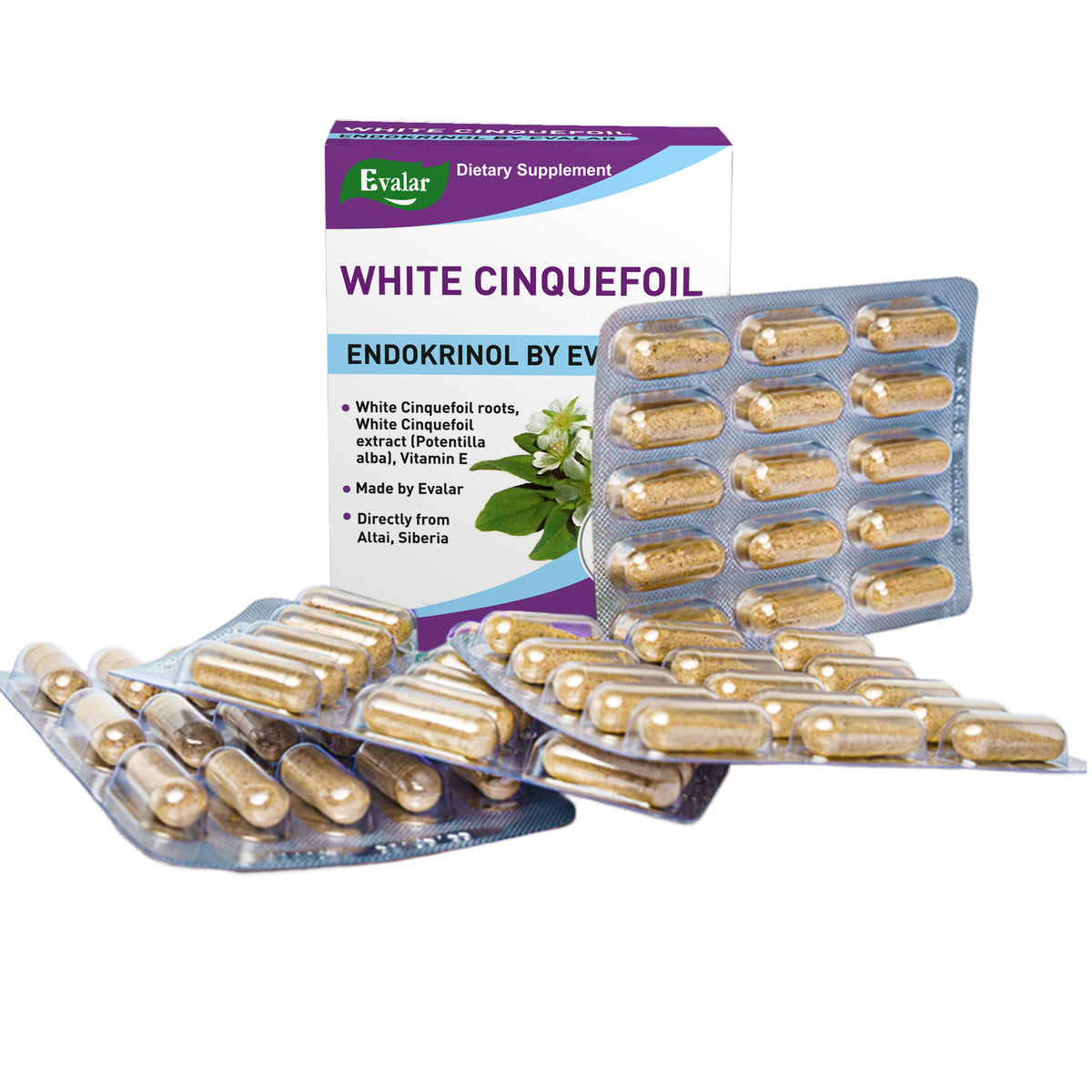 White Cinquefoil Potentilla Herb by Evalar 60 Caps