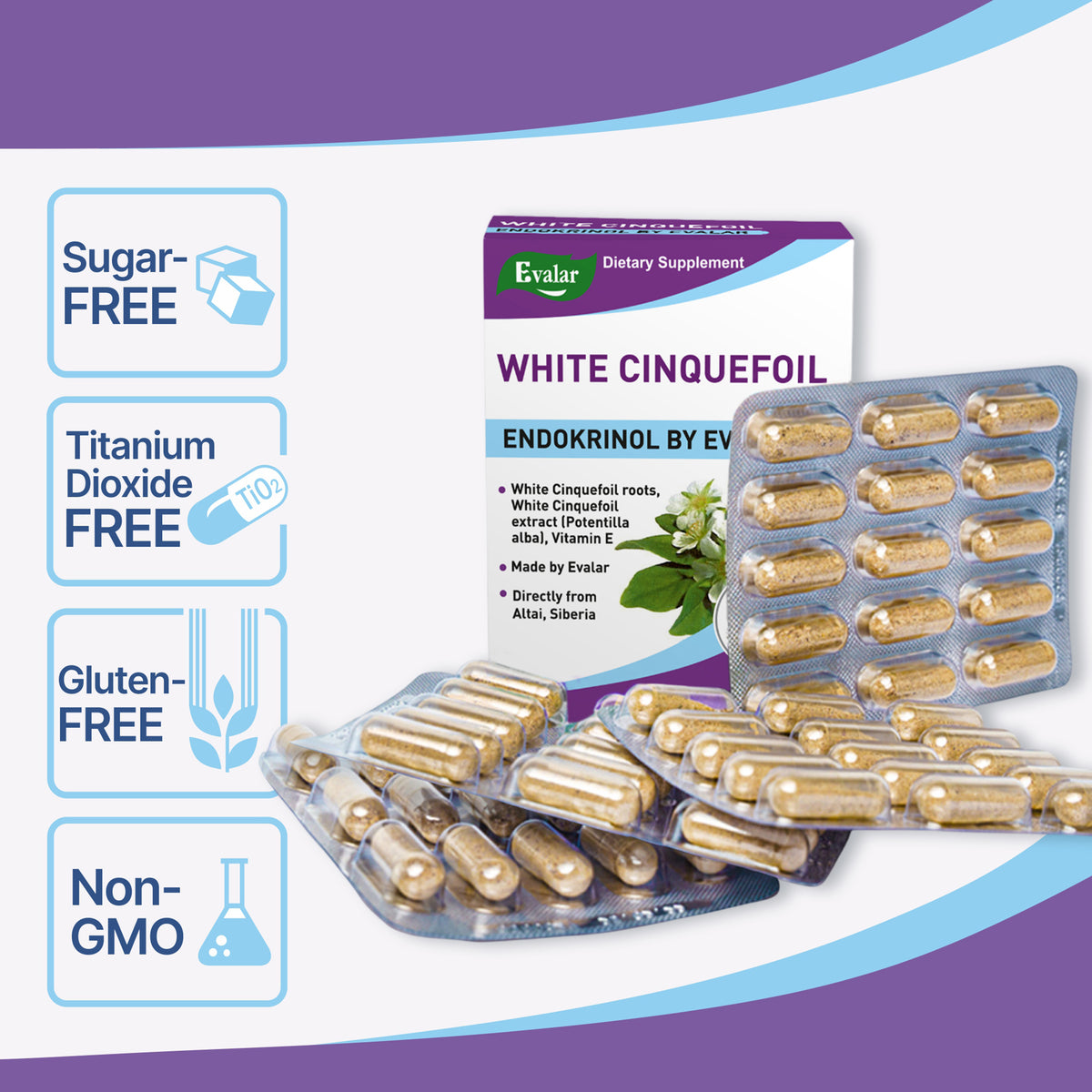 White Cinquefoil Potentilla Herb by Evalar 60 Caps