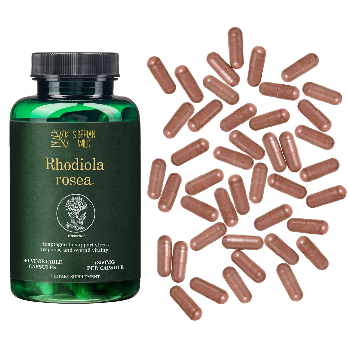 Siberian Wild Rhodiola Rosea Capsules – 350 mg – 90 Vegan Capsules