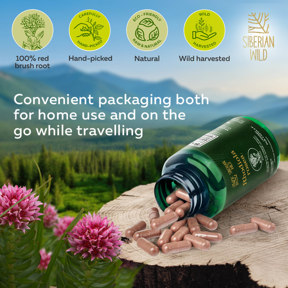Siberian Wild Rhodiola Rosea Capsules – 350 mg – 90 Vegan Capsules