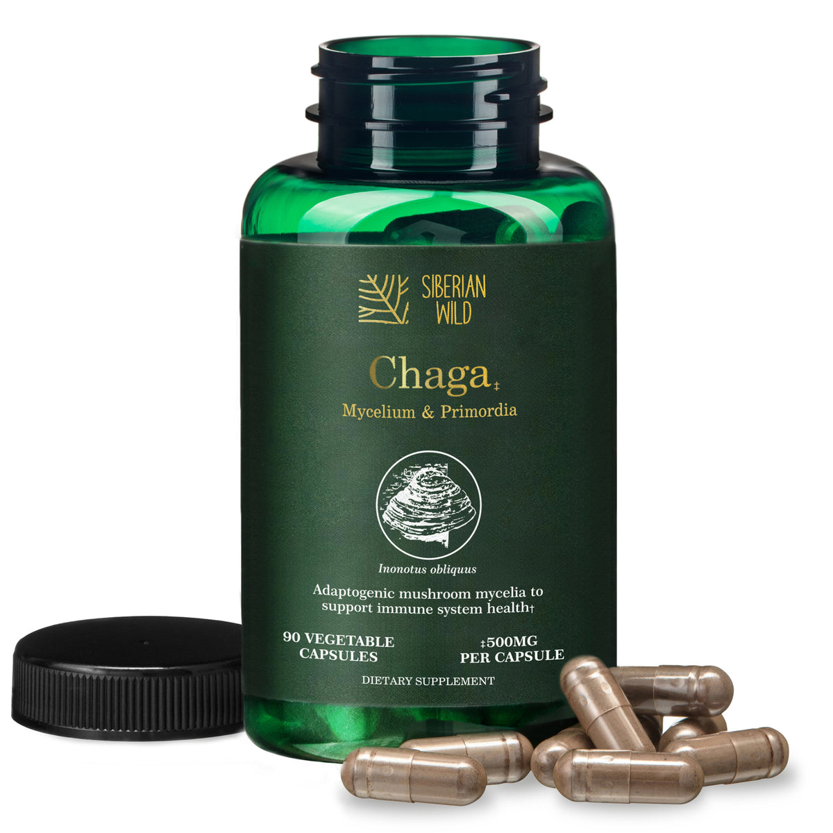 Siberian Wild Chaga Mushroom – 1500mg Capsules for Immunity Booster Chaga