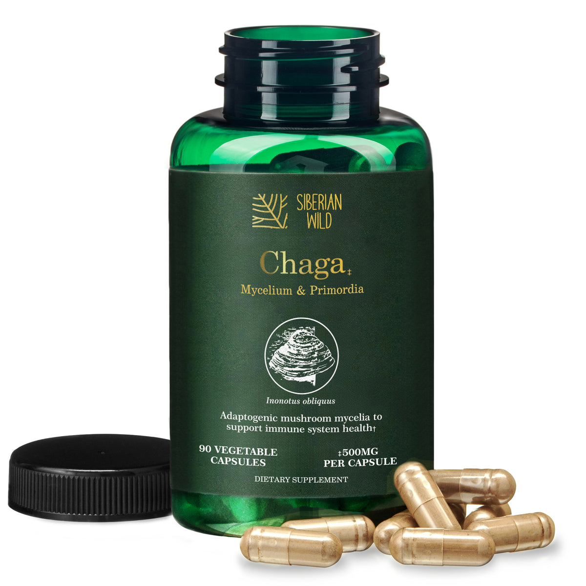 Siberian Wild White Chaga Mushroom Capsules 1500mg Immune Support Antioxidant Energy Vegan Supplement Australia