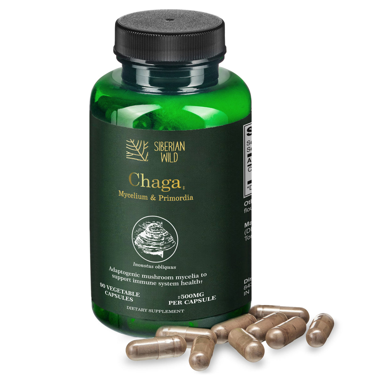 Siberian Wild Chaga Mushroom – 1500mg Capsules for Immunity Booster Chaga