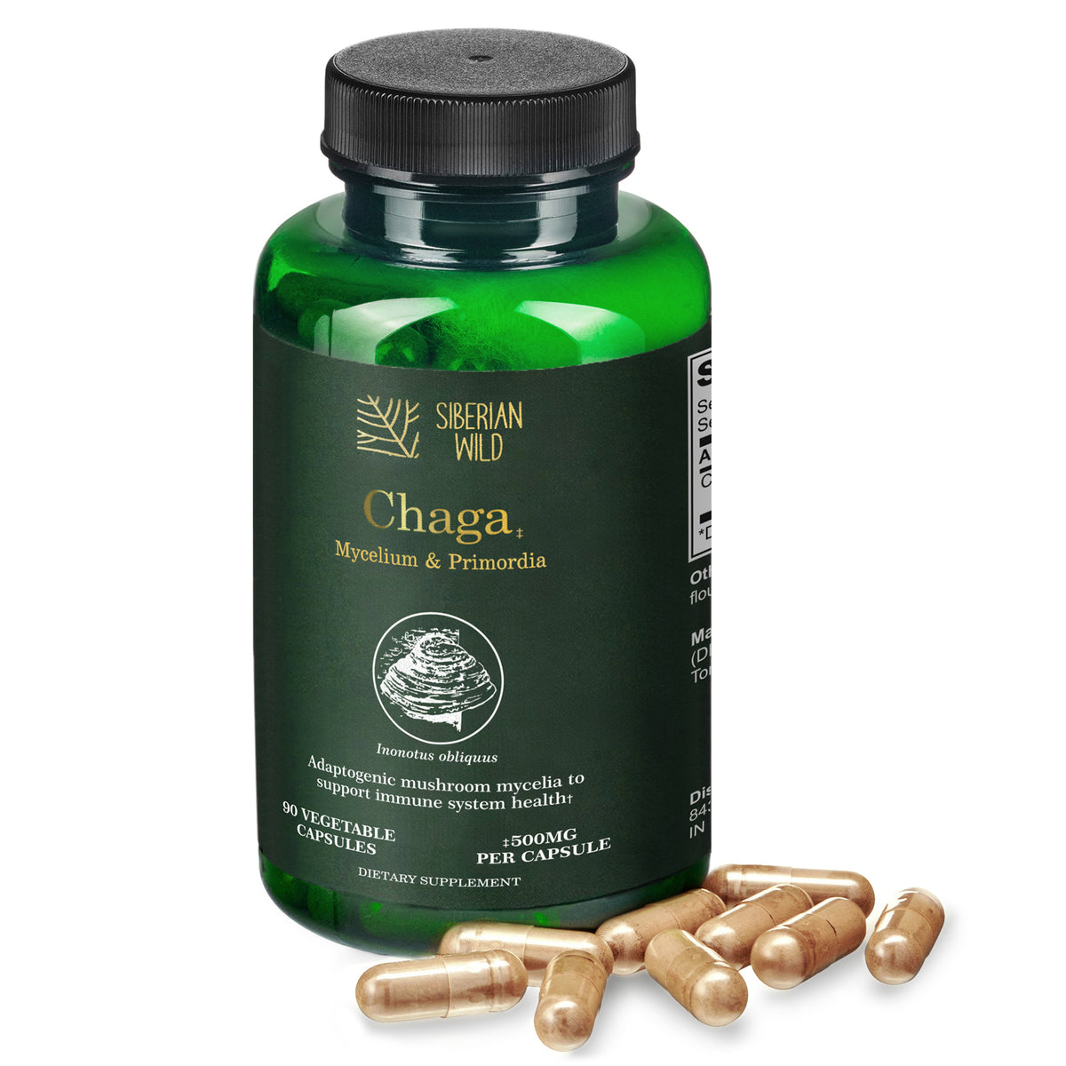 Siberian Wild White Chaga Mushroom Capsules 1500mg Immune Support Antioxidant Energy Vegan Supplement Australia