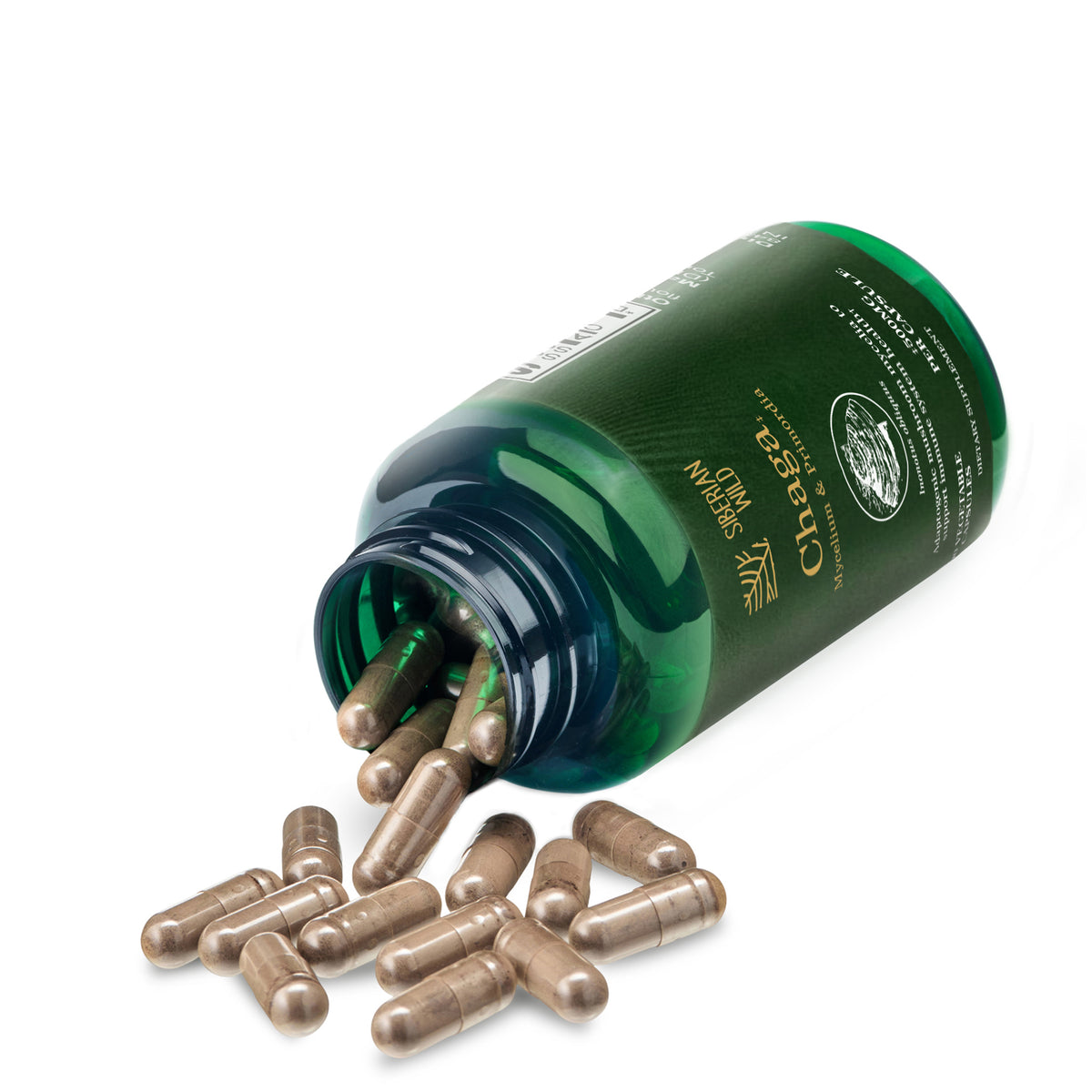 Siberian Wild Chaga Mushroom – 1500mg Capsules for Immunity Booster Chaga