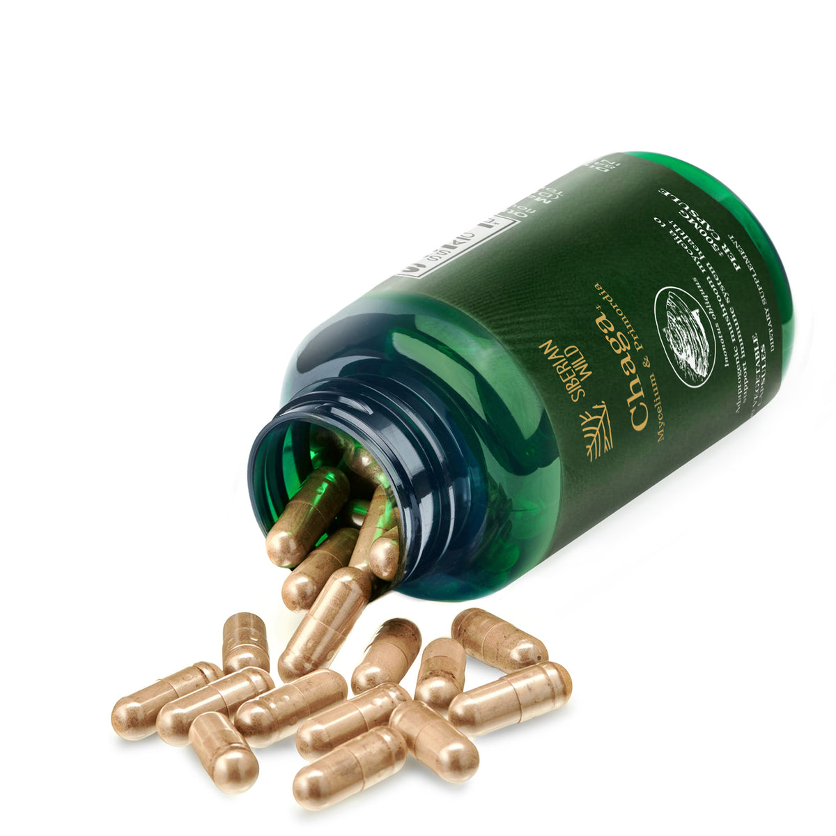 Siberian Wild White Chaga Mushroom Capsules 1500mg Immune Support Antioxidant Energy Vegan Supplement Australia