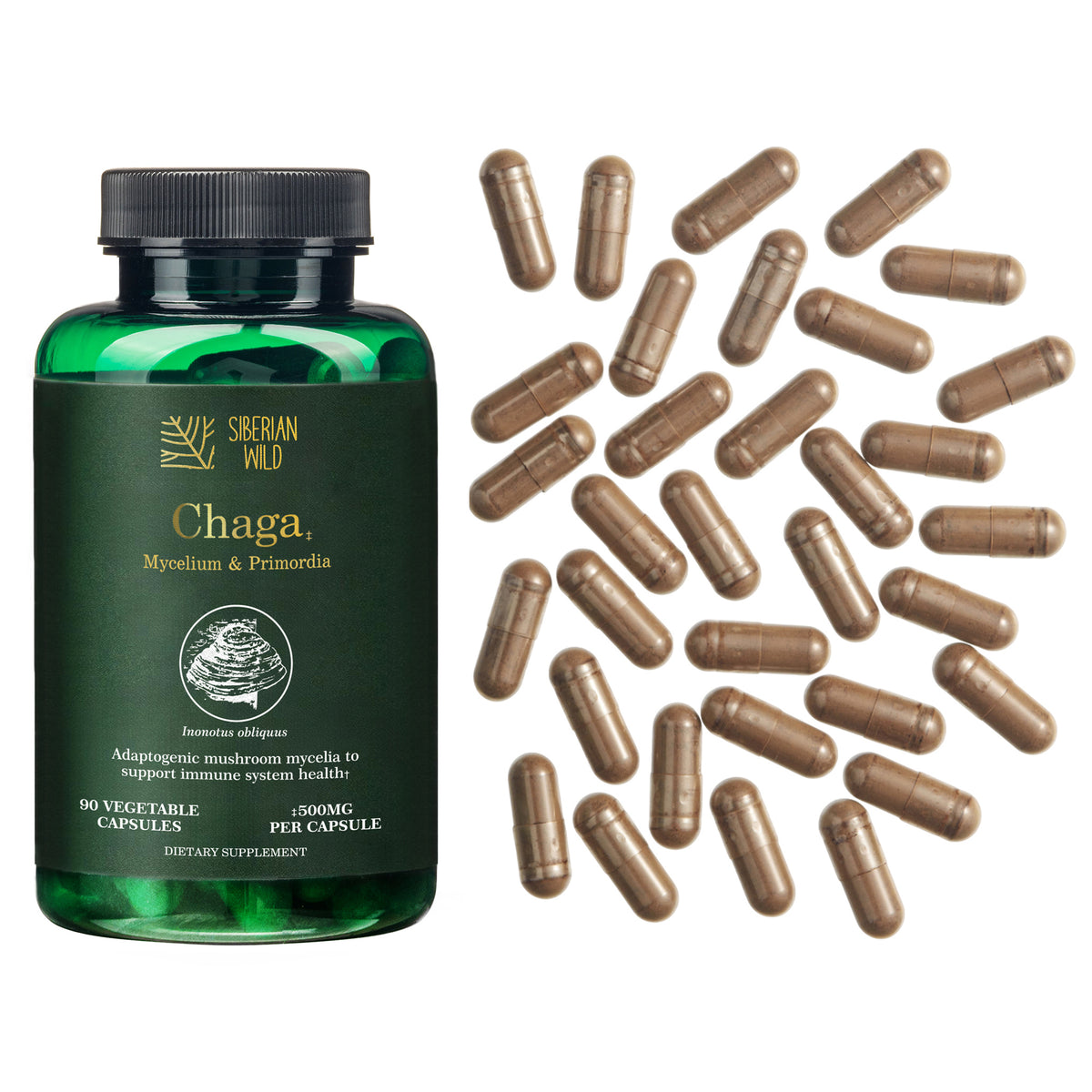Siberian Wild Chaga Mushroom – 1500mg Capsules for Immunity Booster Chaga