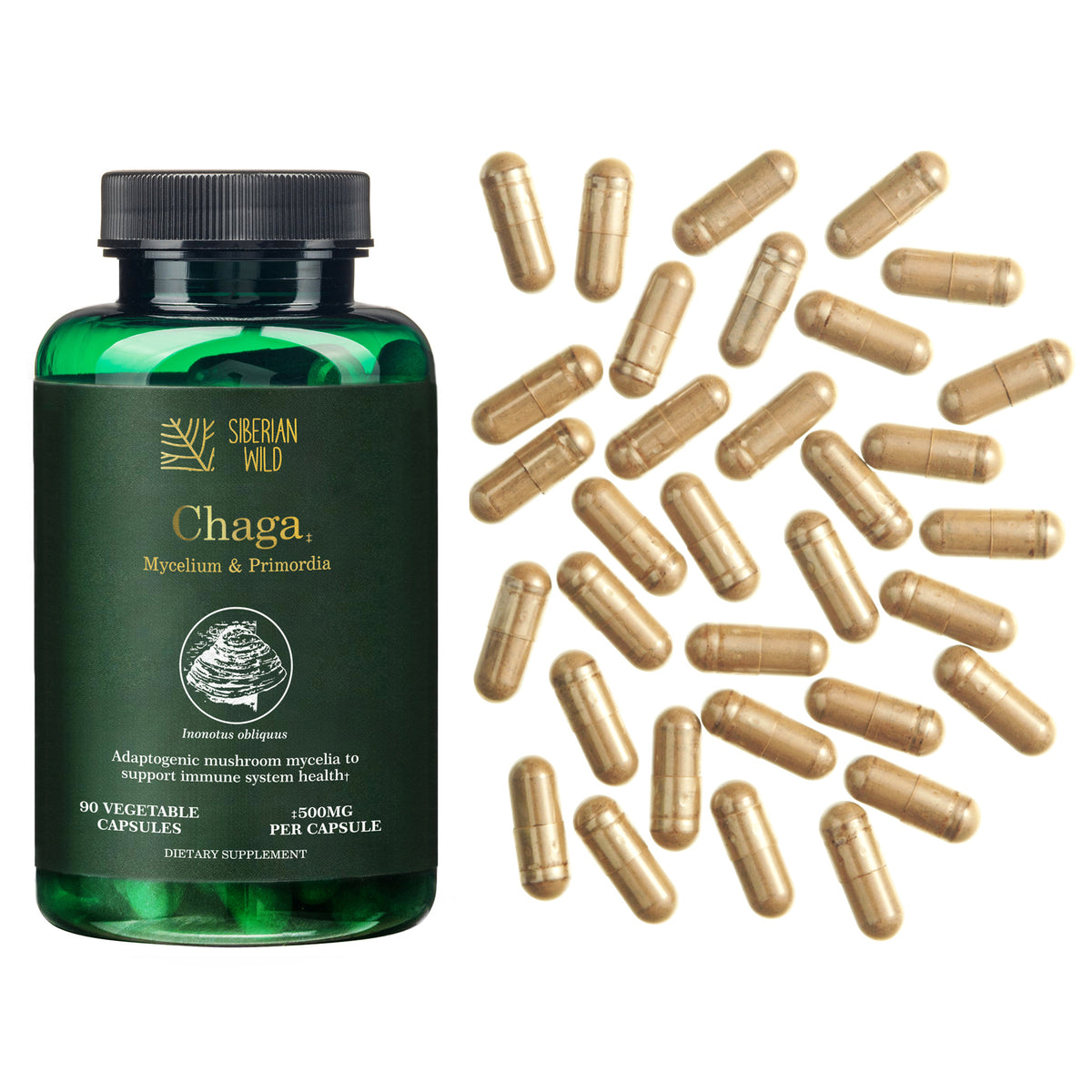 Siberian Wild White Chaga Mushroom Capsules 1500mg Immune Support Antioxidant Energy Vegan Supplement Australia