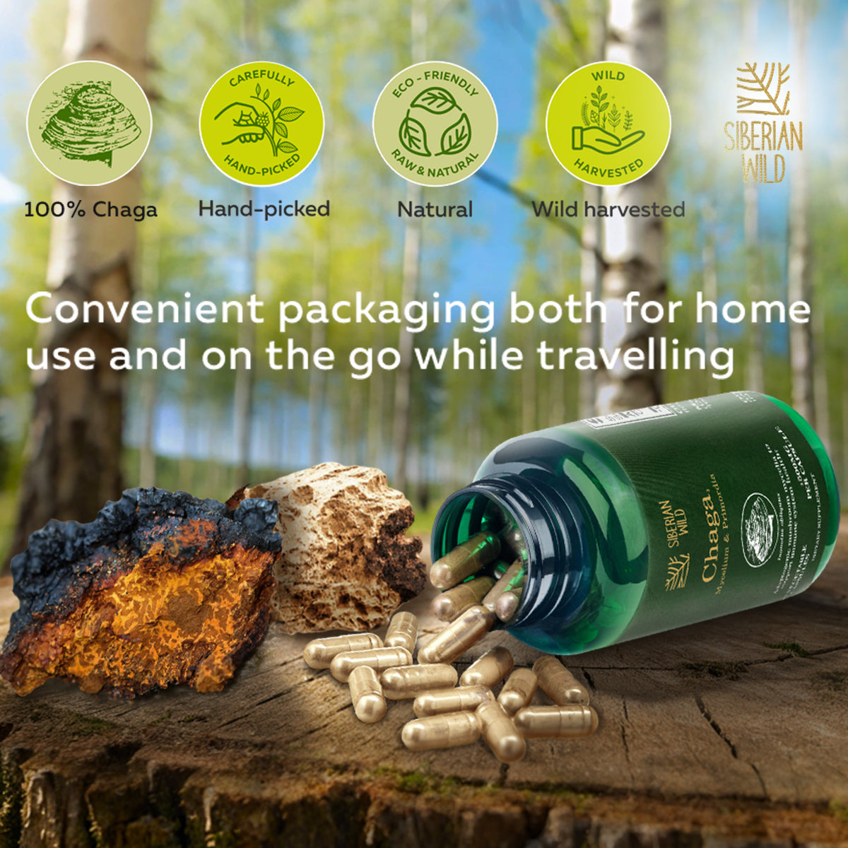 Siberian Wild White Chaga Mushroom Capsules 1500mg Immune Support Antioxidant Energy Vegan Supplement Australia