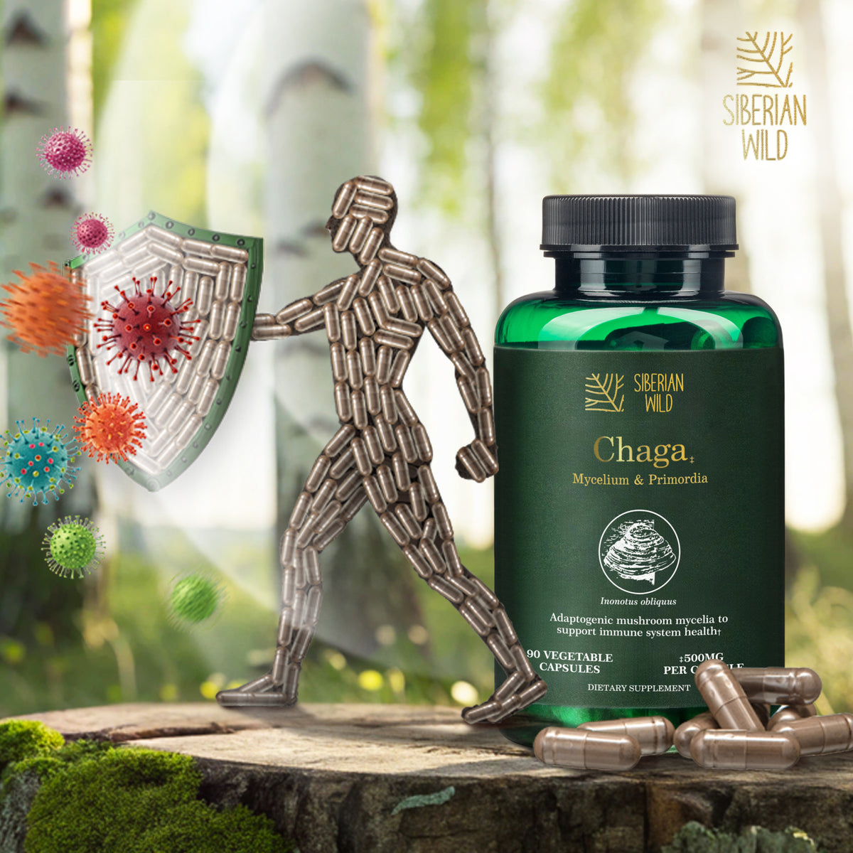 Siberian Wild Chaga Mushroom – 1500mg Capsules for Immunity Booster Chaga