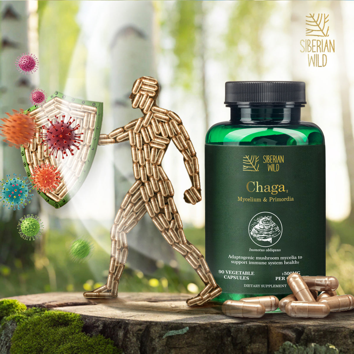 Siberian Wild White Chaga Mushroom Capsules 1500mg Immune Support Antioxidant Energy Vegan Supplement Australia
