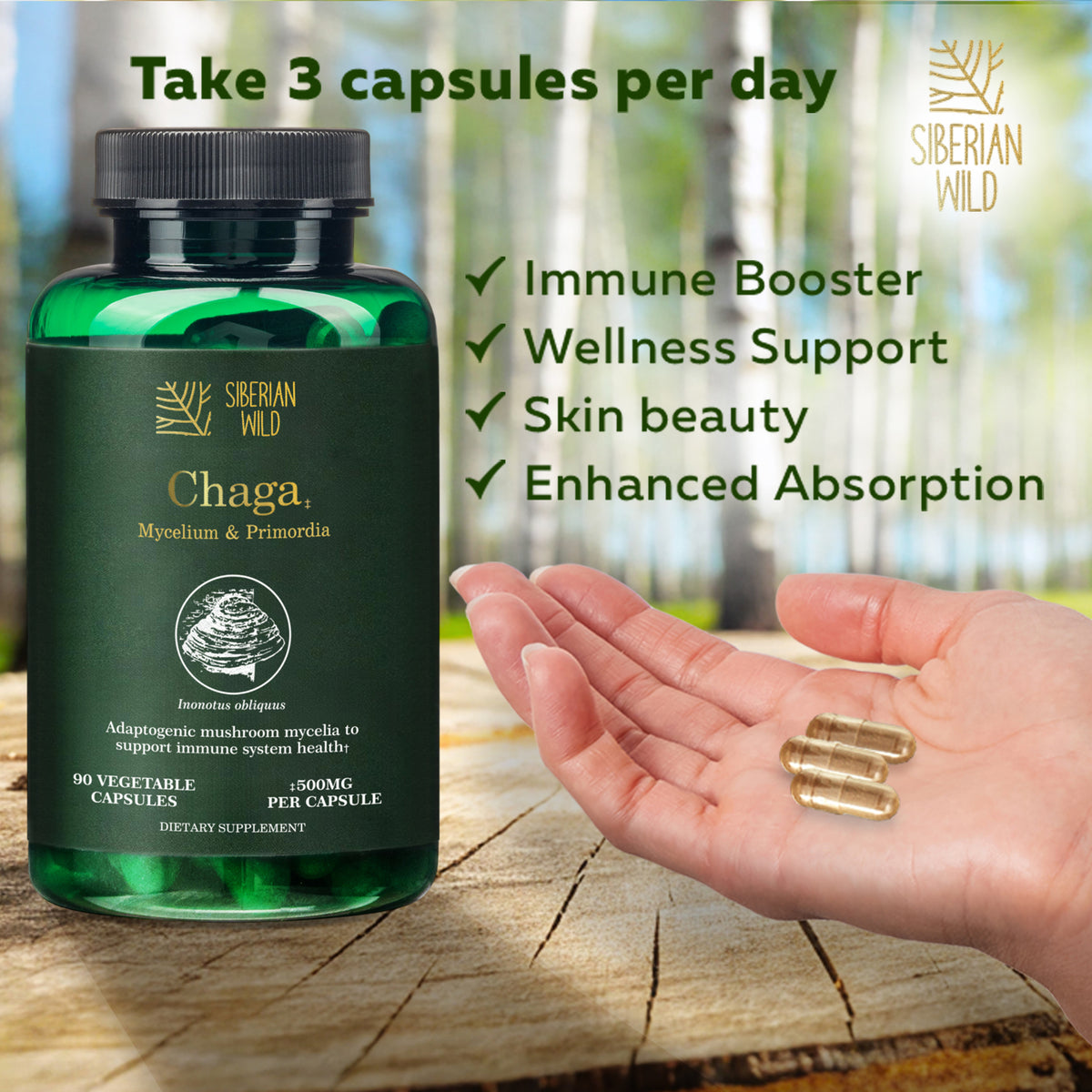 Siberian Wild White Chaga Mushroom Capsules 1500mg Immune Support Antioxidant Energy Vegan Supplement Australia