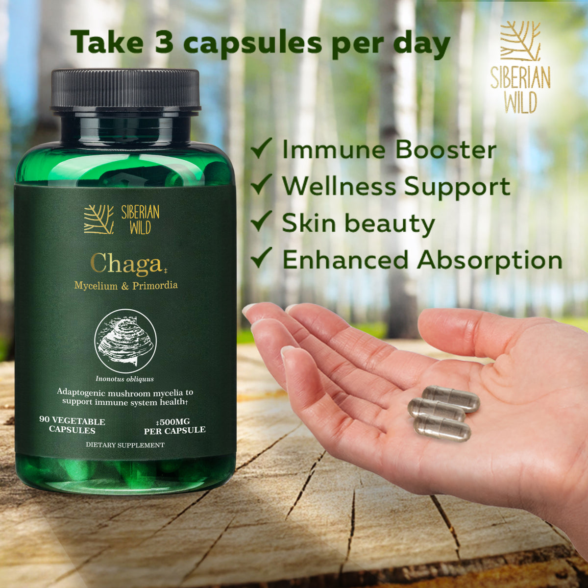 Siberian Wild Chaga Mushroom – 1500mg Capsules for Immunity Booster Chaga