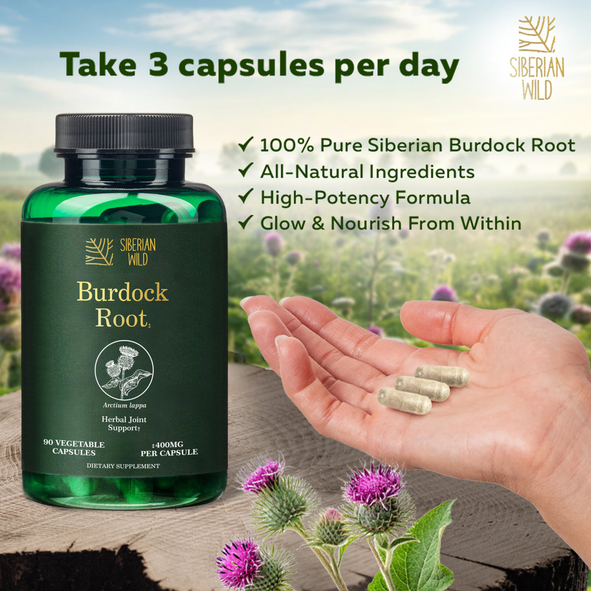 Siberian Wild Burdock Root Capsules – 1200mg