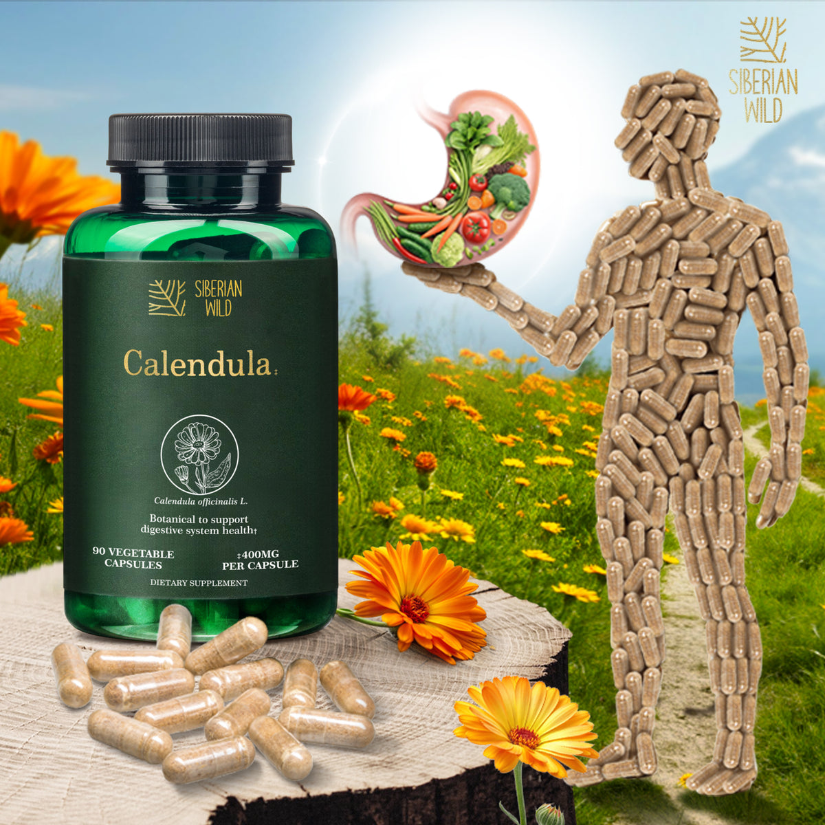 Siberian Wild Calendula Capsules – 1800mg – 90 Vegan Capsules