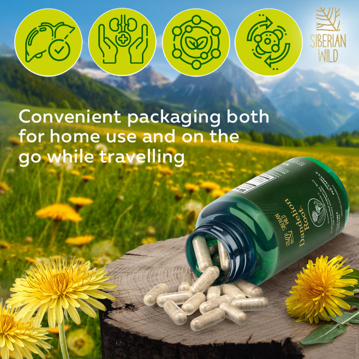 Siberian Wild Dandelion Root Capsules – 1500mg Vegan Liver Support