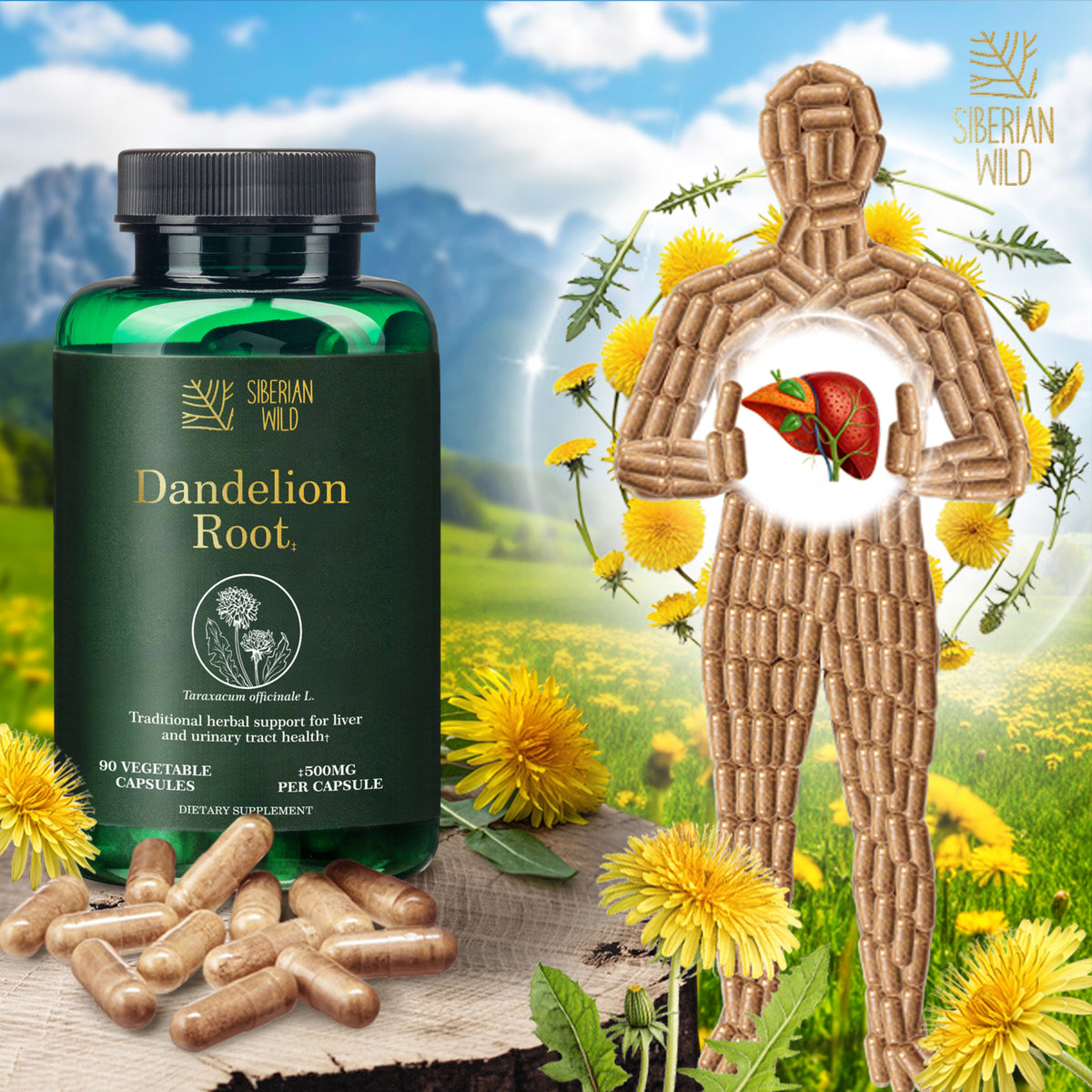 Siberian Wild Dandelion Root Capsules – 1500mg Vegan Liver Support