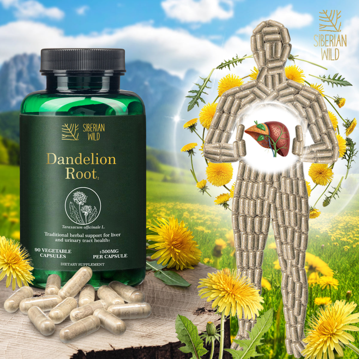 Siberian Wild Dandelion Root Capsules – 1500mg Vegan Liver Support