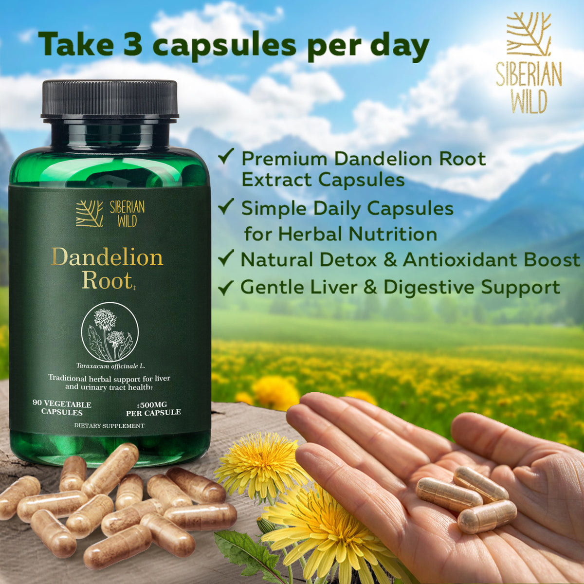 Siberian Wild Dandelion Root Capsules – 1500mg Vegan Liver Support