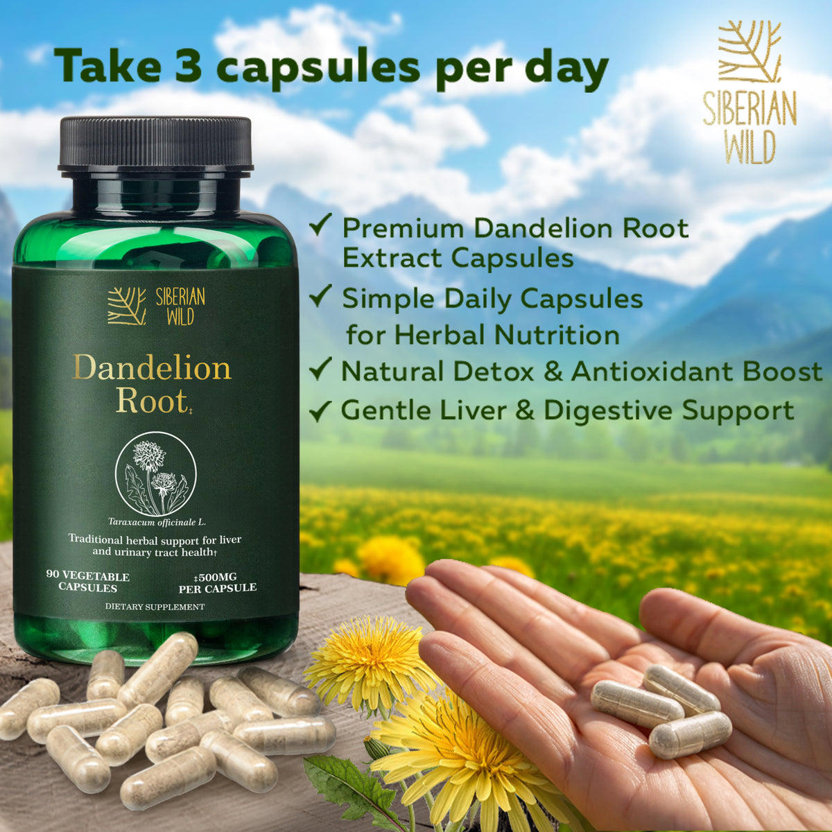 Siberian Wild Dandelion Root Capsules – 1500mg Vegan Liver Support