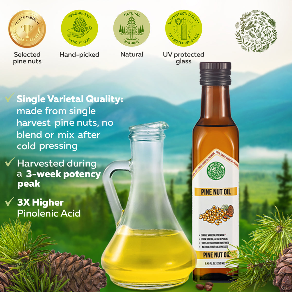 Siberian Green Organic Pine Nut Oil - Cold Pressed 250ml (Glass Bottle)